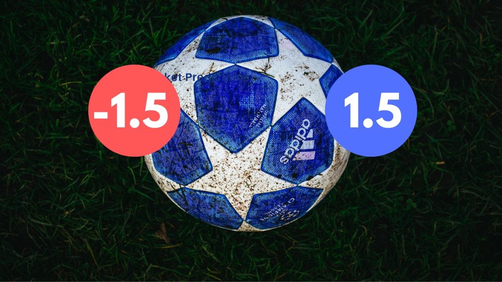 How to calculate money when betting on 1/2 odds