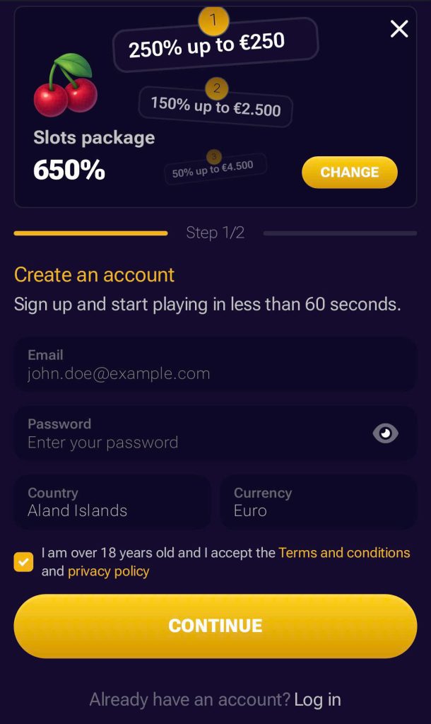 Step 2: Fill in the information in the registration form