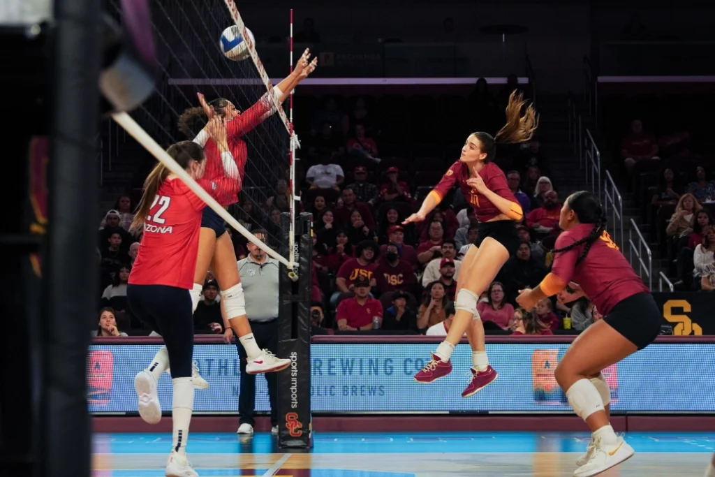 Experience in Betting on Volleyball Effectively